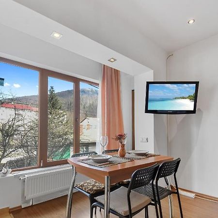 Cozy Montain Studio Apartment Sinaia Exterior photo